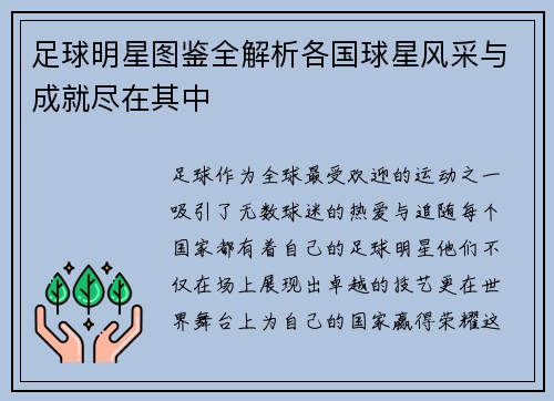 足球明星图鉴全解析各国球星风采与成就尽在其中